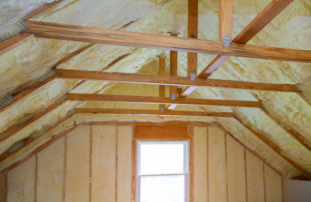 Best Insulation Maintenance and Repair in Bloomington, MN